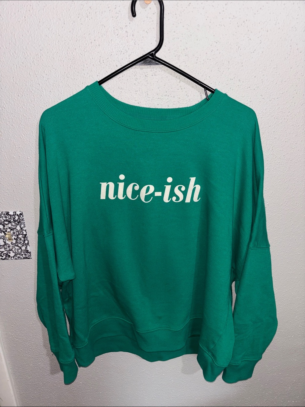 Aerie - “Nice-ish” crewneck sweatshirt (size x-large)